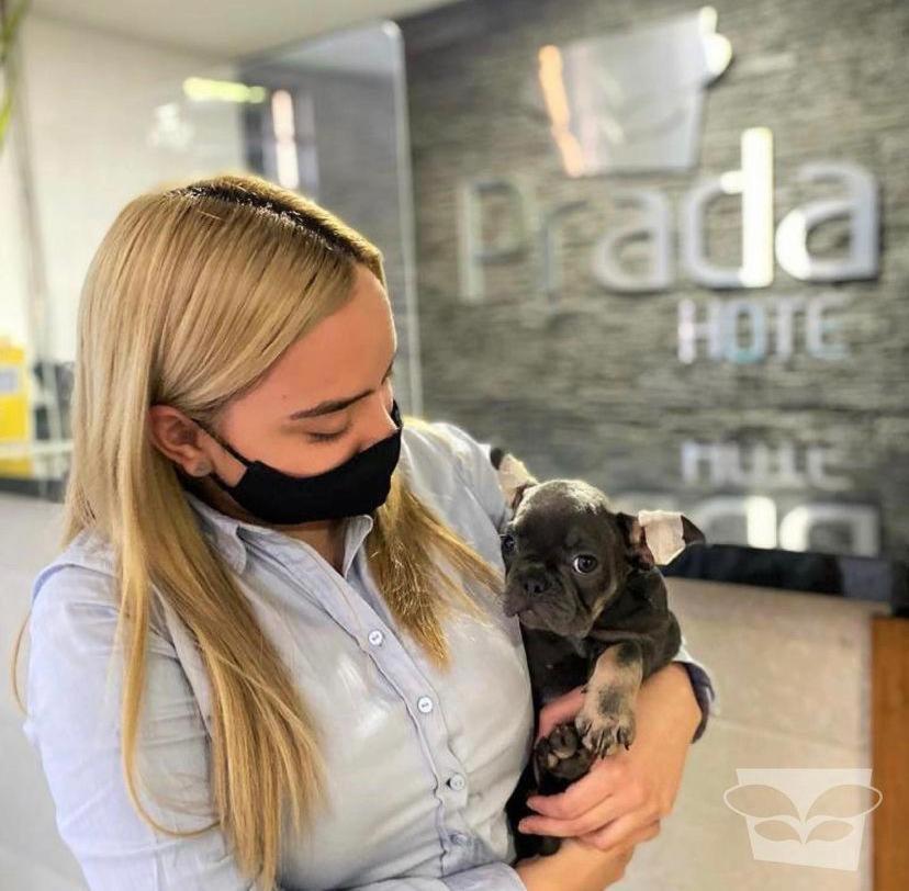 Hotel Prada Sas Bello Exteriör bild